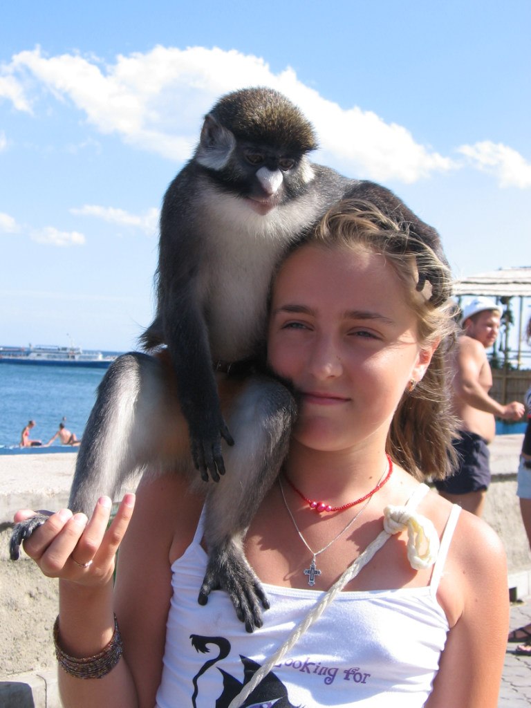 Alex Rav | Санкт-Петербург