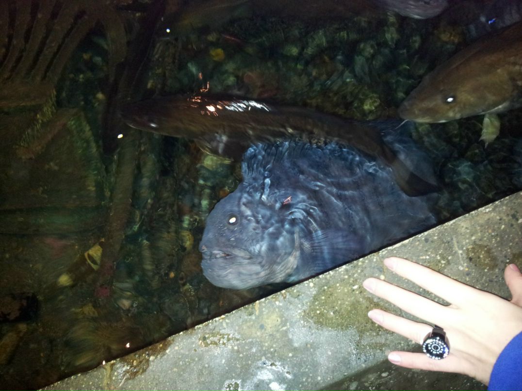 Ирина Дежан | Санкт-Петербург