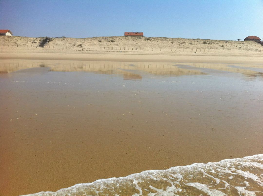 Елена Доброумова | Санкт-Петербург