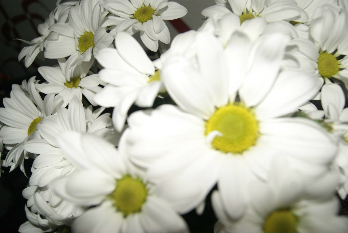 Лейсан Карамова | Москва