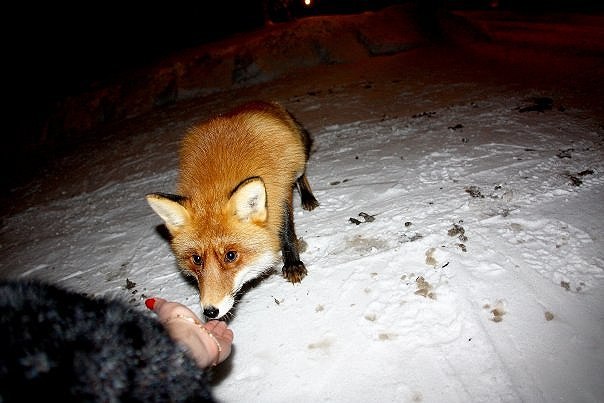 Мария Лепченко | Кирово-Чепецк