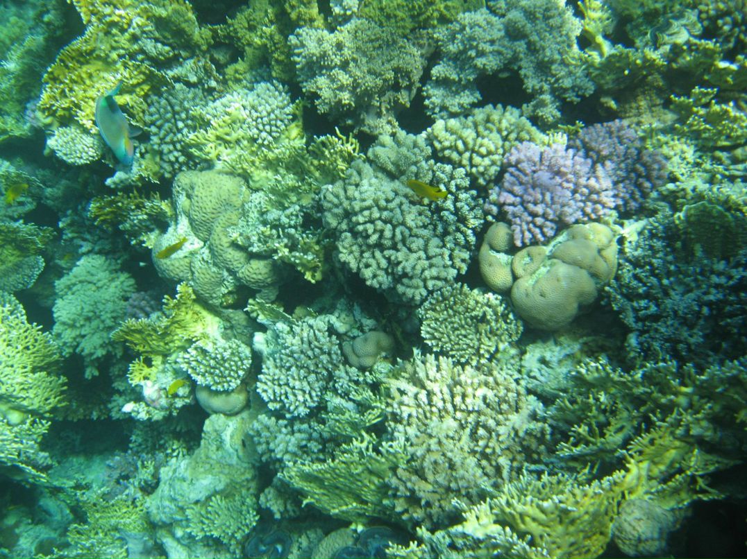 Надежда Кропачева | Киров