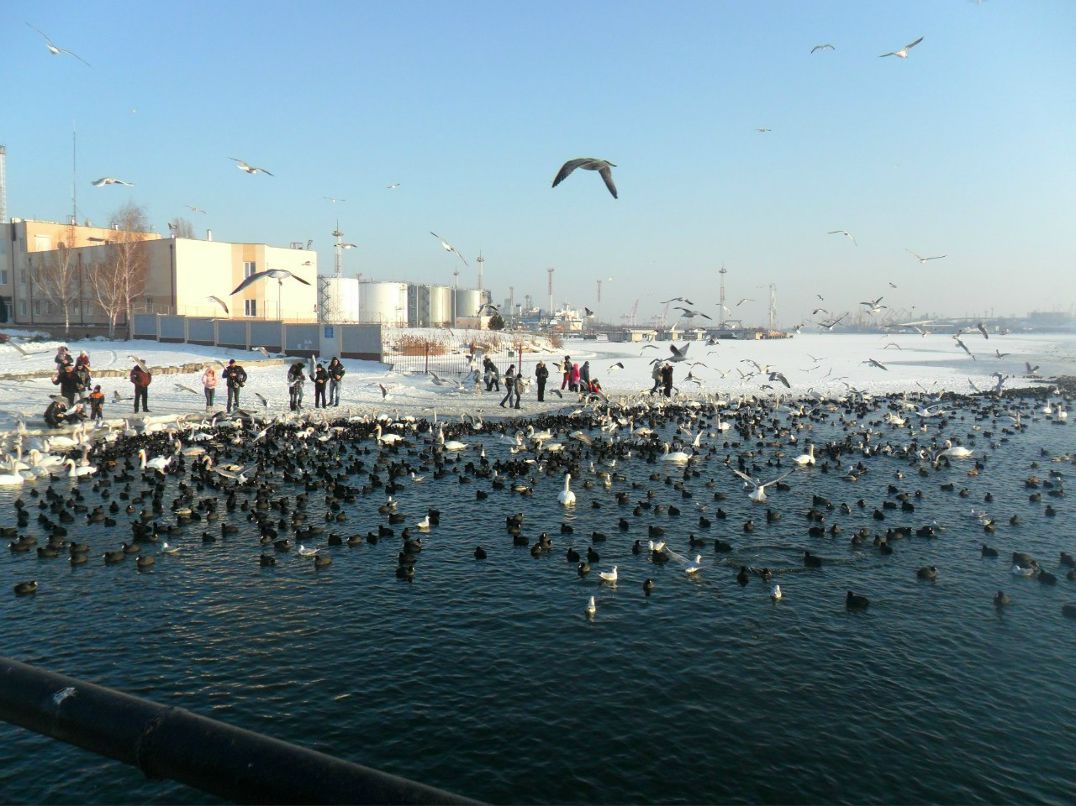 Игорь Синьков ~ Senya ~ | Одесса