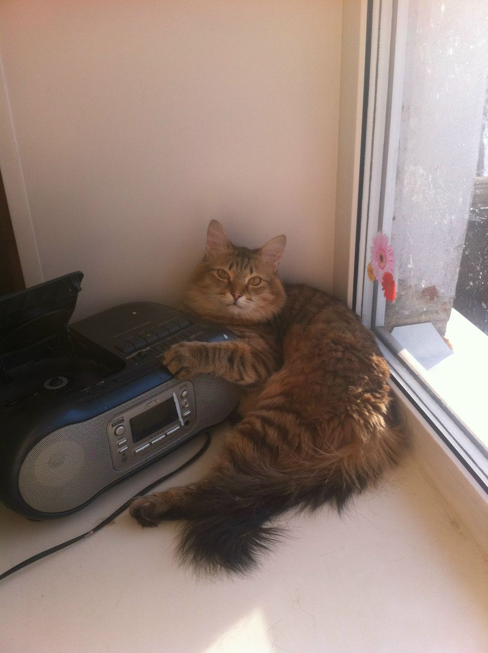 Юлия Байбородина Владимировна | Ухта