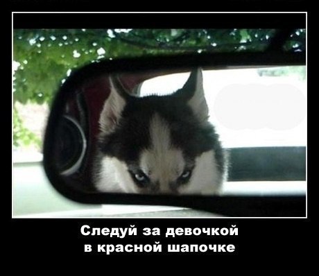 Сергей Ольшевский | Москва