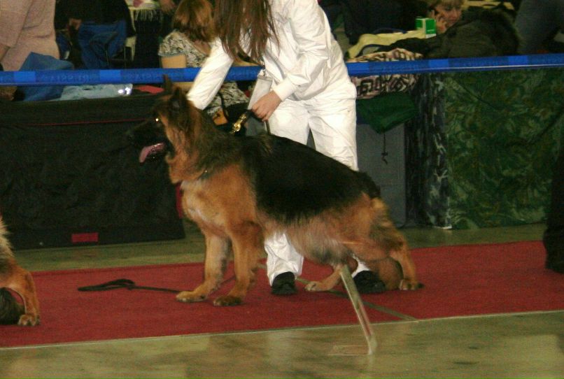 Вика Петлина | Москва