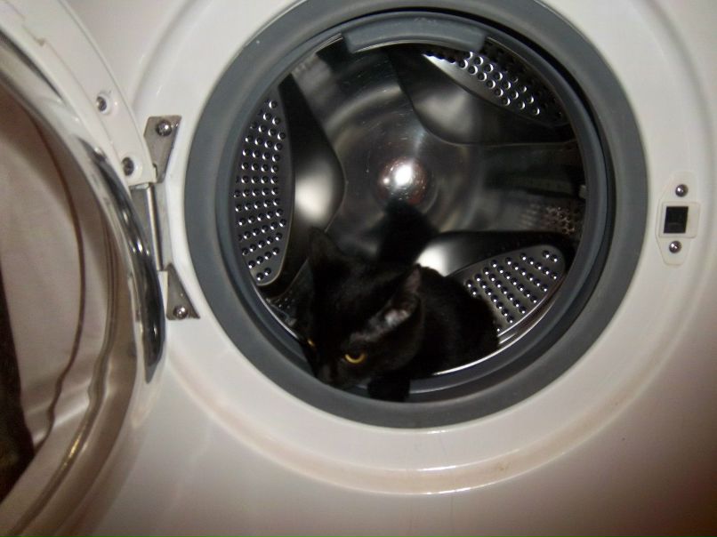 Екатерина Горх | Кемерово