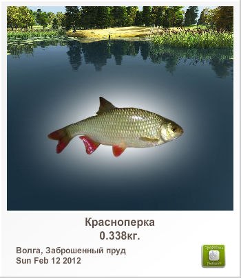 Андрей Степанов | Иркутский