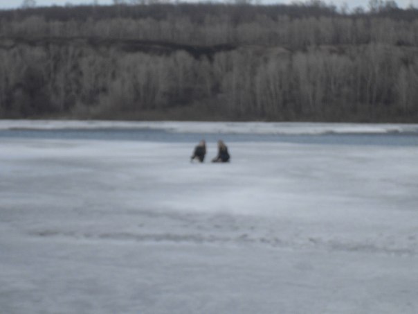 Екатерина Ионова навсегда | Новокузнецк