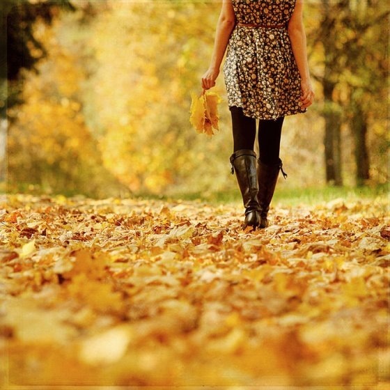 №104, Вероничка Наумова, Винница №104, Вероничка Наумова, Винница