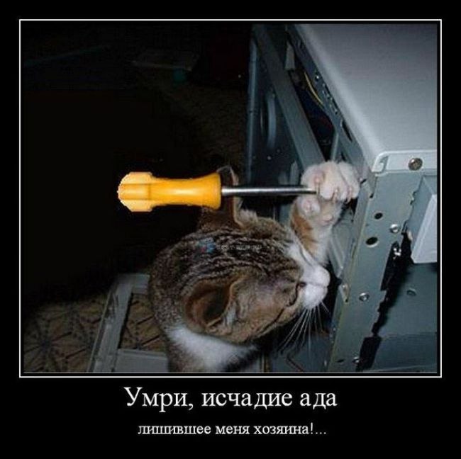 Руслан Вахновский | 