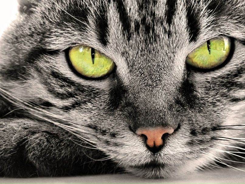 Катерина Мохова | Москва