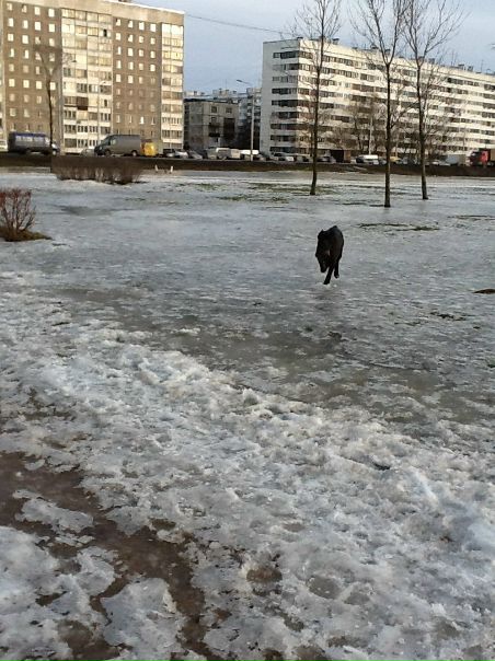 №1, Юрии Петров, 52 года, Санкт-Петербург №1, Юрии Петров, 52 года, Санкт-Петербург