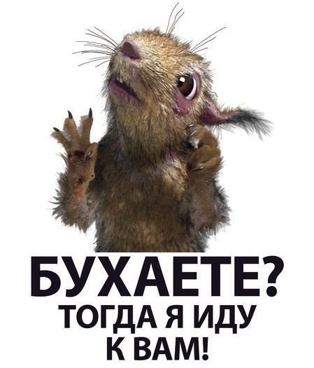 Mihail Voganov {~@~54 RUS~@~} | 