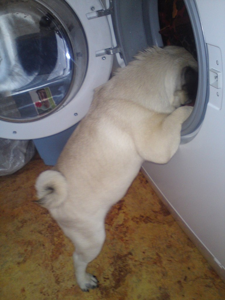 Анастасия Талисманова | Красноярск