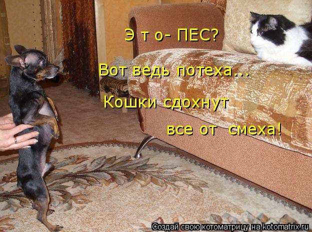 Игорь Булгаков | Орёл