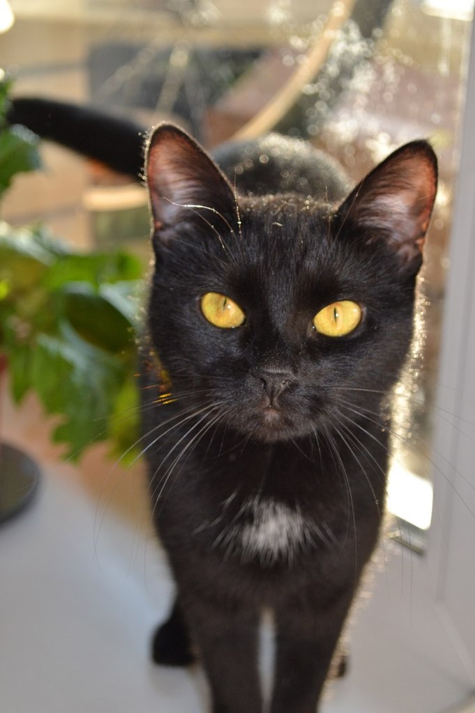 Ольга Савелова | Санкт-Петербург