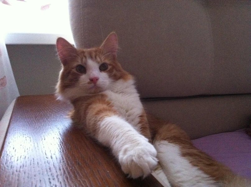 Александра Маркина | Москва