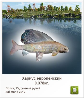 Александр Силин | Великие Луки