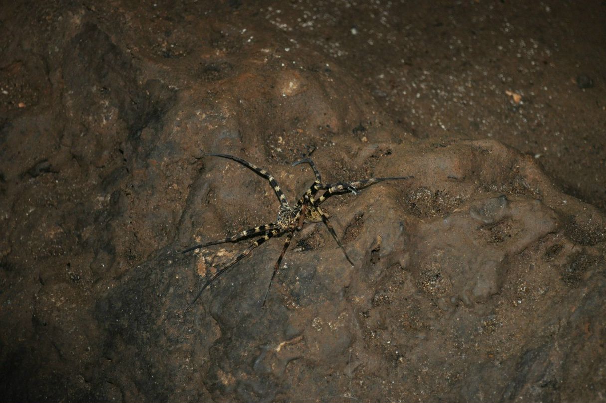 Андрей Бонгин | Калининград