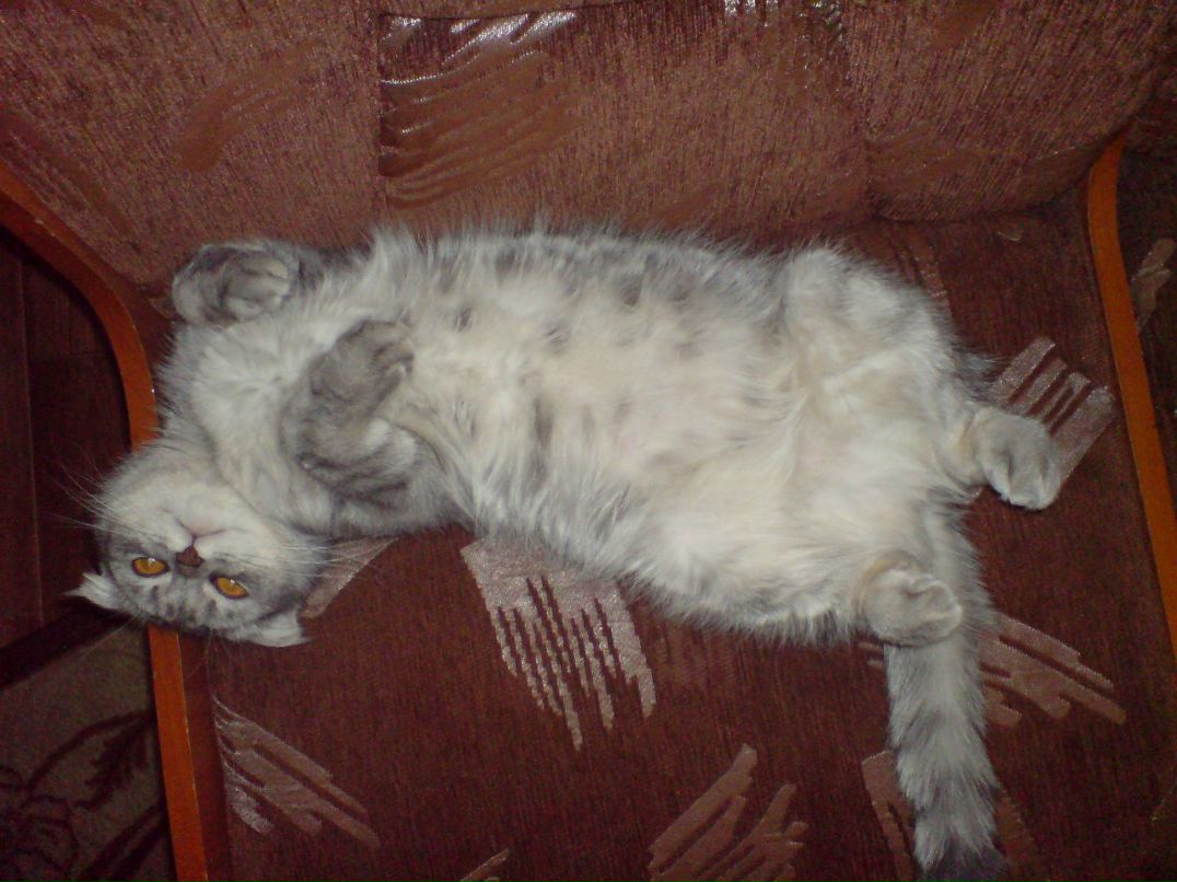 Серёга Посников Marlon Brando | Санкт-Петербург