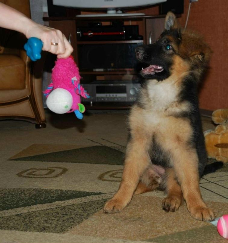 Екатерина Болдина | Москва