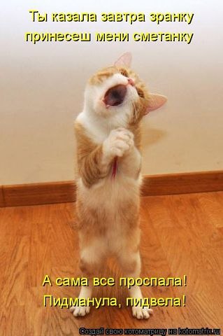 №158, Анна Волынец, Луганск №158, Анна Волынец, Луганск