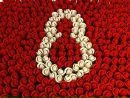 №12 Сашунька Никишина : профиль, фото, статус - ВКонтакте №12 Сашунька Никишина : профиль, фото, статус - ВКонтакте