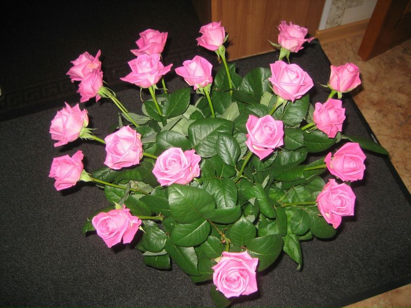 Раиса Лабор | Санкт-Петербург