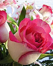 Славік Соколюк | Черновцы