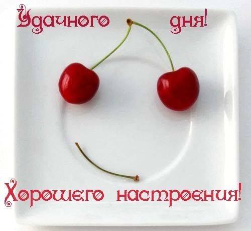 Елена Смирнова ˜”*°•.I SUN.•°*” | Санкт-Петербург