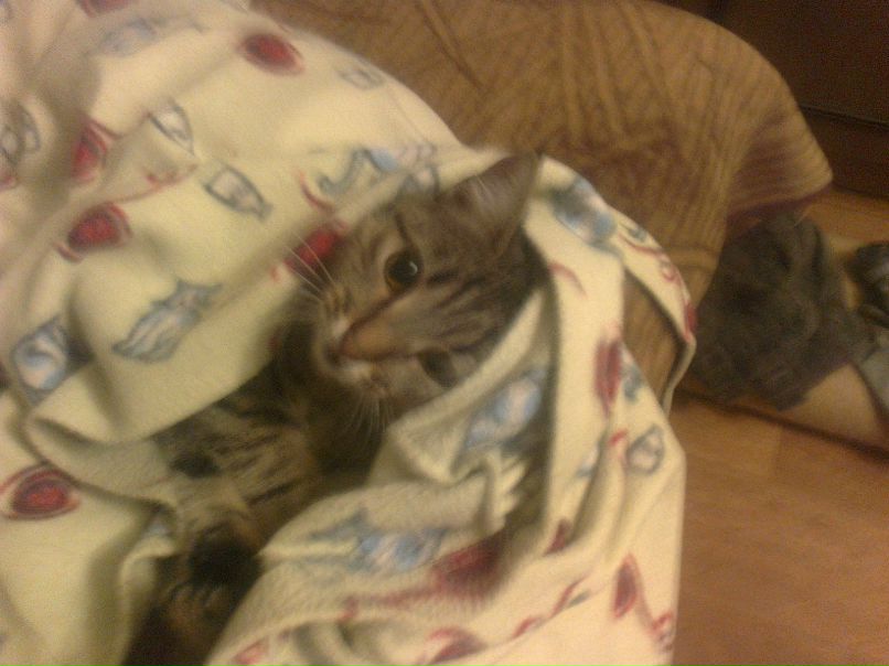 Спартак Веденькин | Москва