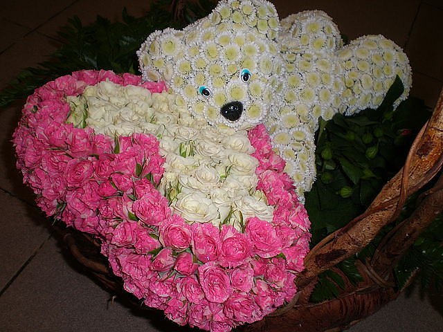 Ирина Гуменюк | Каменец-Подольский