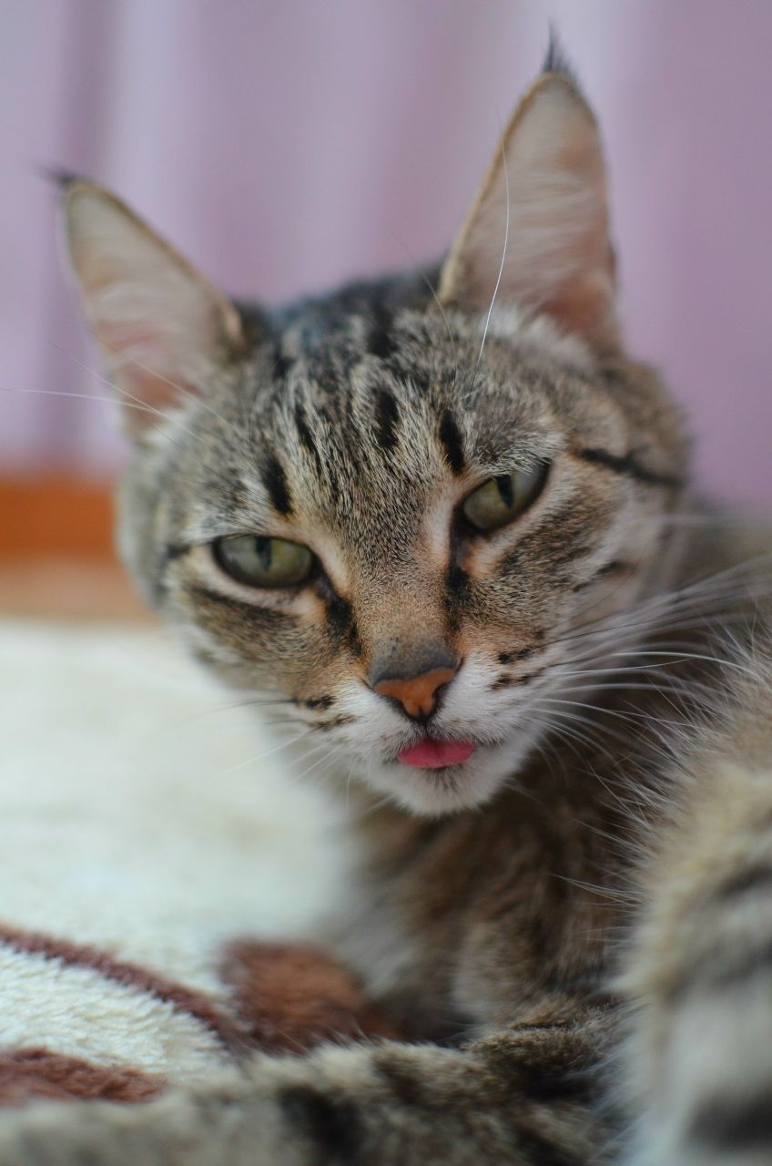 Светлана Садиева | Ижевск