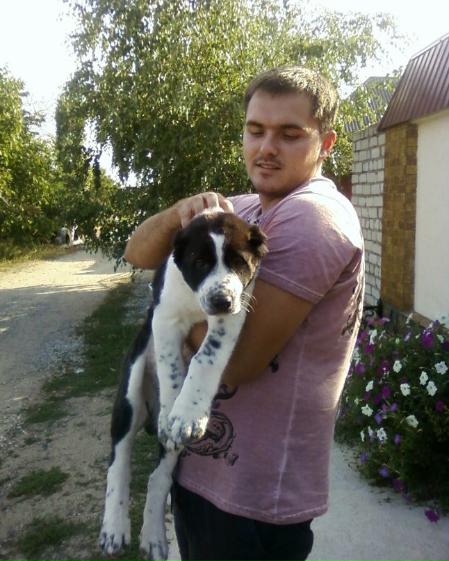 Дмитрий Качалаба Yrist | Николаев