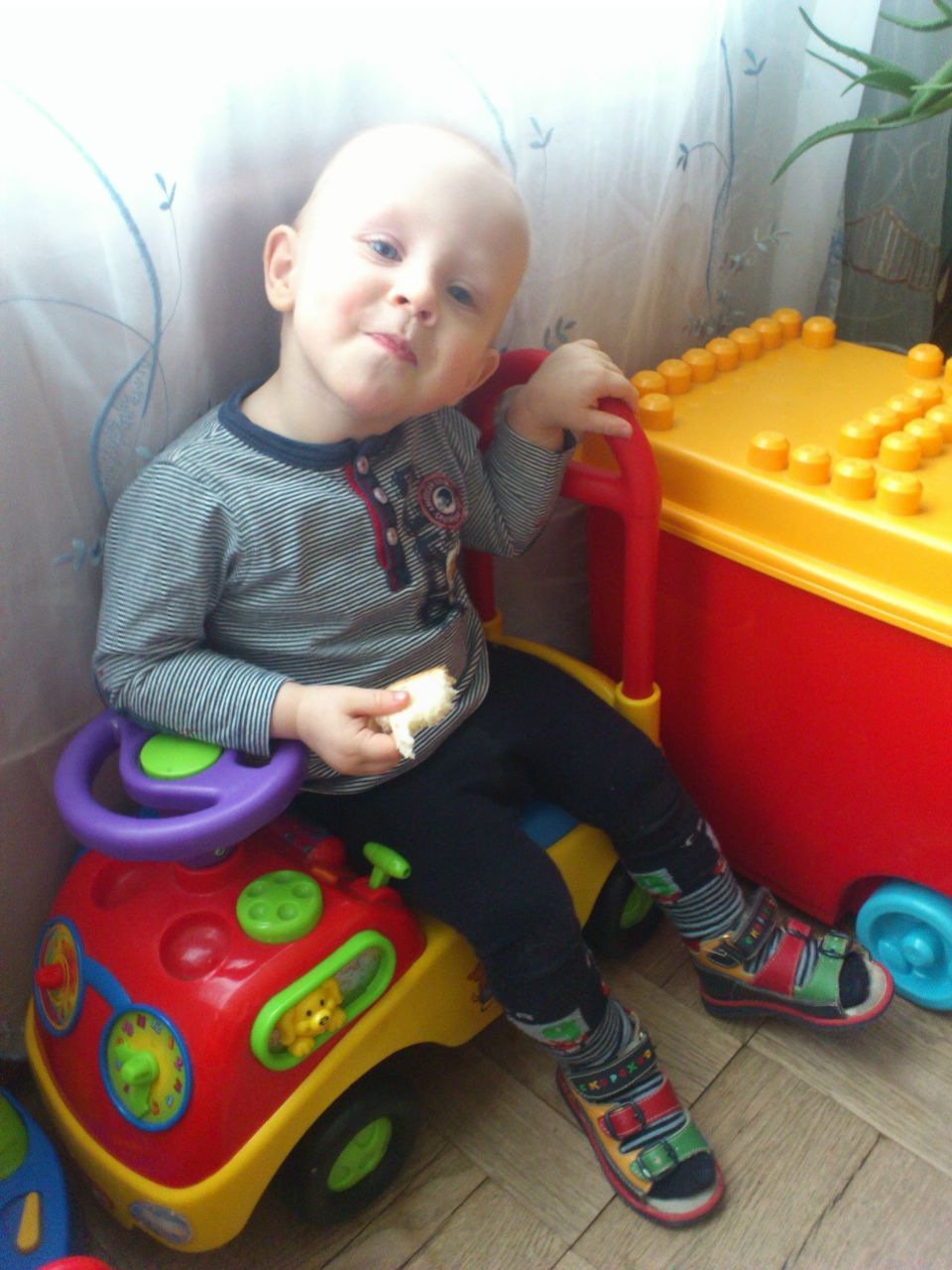 Алексей Шведов | Санкт-Петербург