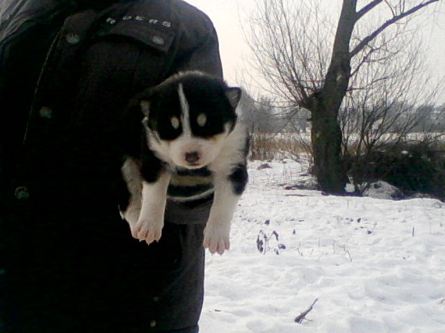 Лена Ходунова | Калининград