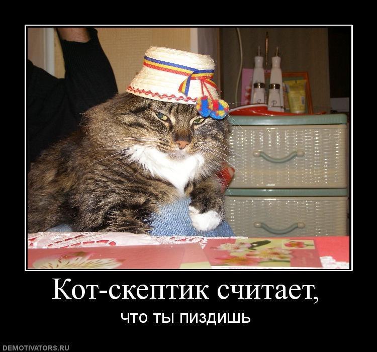 Анастасия Пашук | 