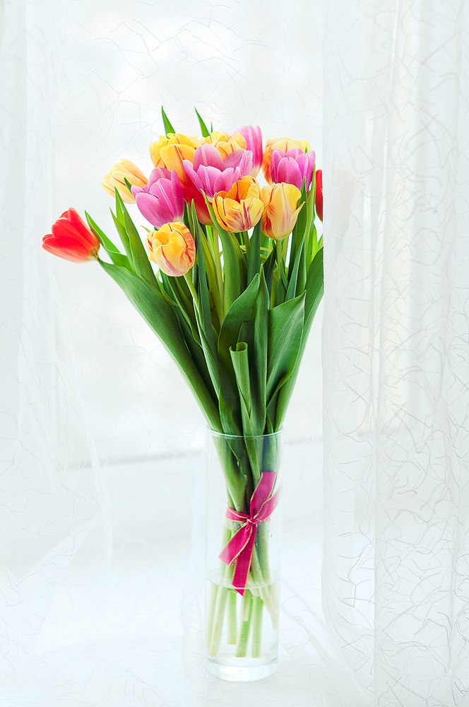 Марина Овсянникова | Заречный