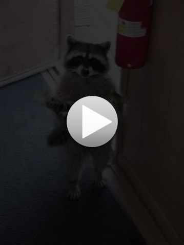 Елена Морозова | Мурманск