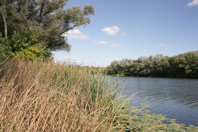 Маргарита Иванова | Москва