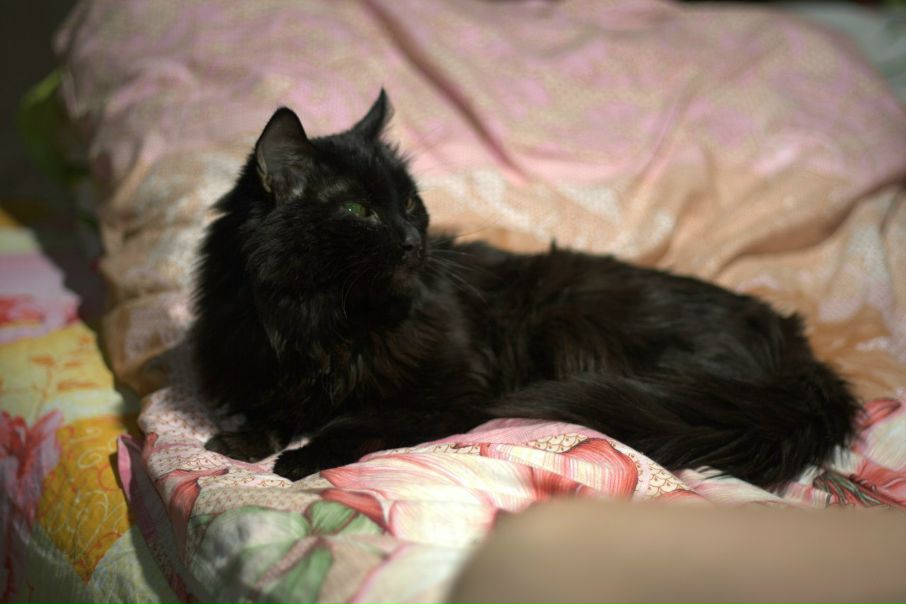 №111, Kristina Chistyakova, Магнитогорск №111, Kristina Chistyakova, Магнитогорск