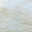 №49, Виталина Мач, Харьков №49, Виталина Мач, Харьков