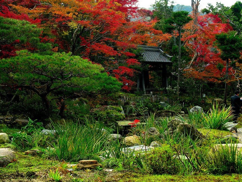 Василий Анкудинов | Полтава