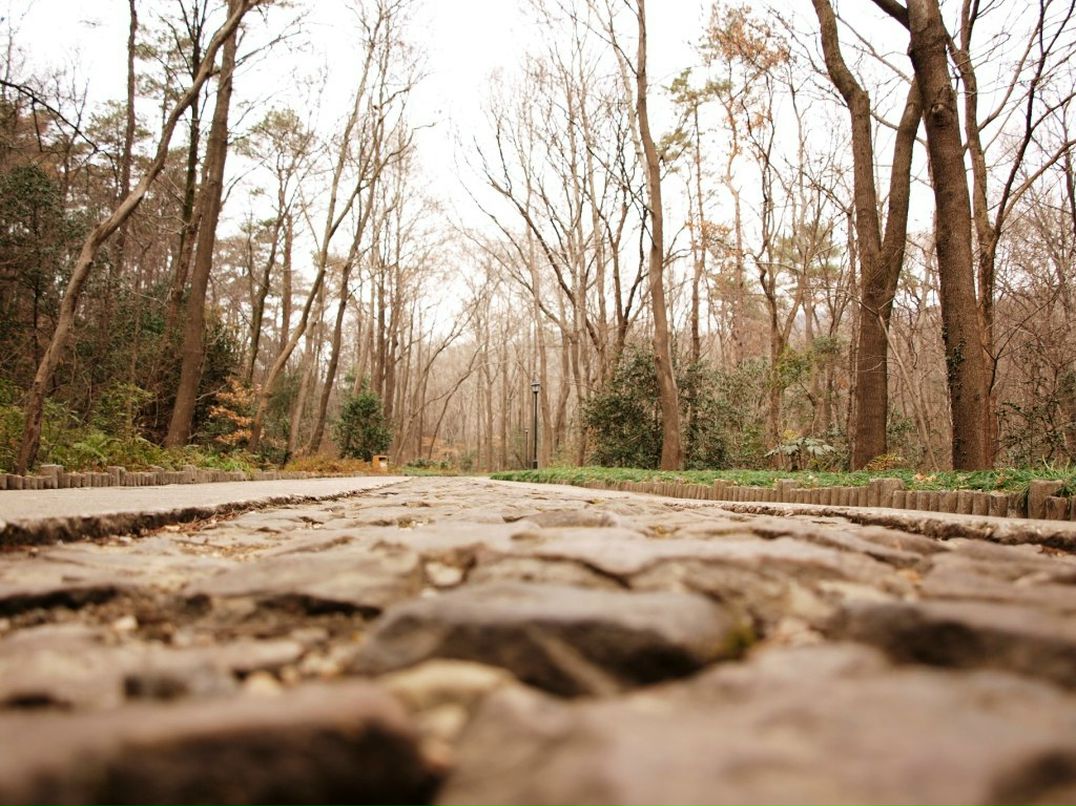 Владимир Лобода | Киев