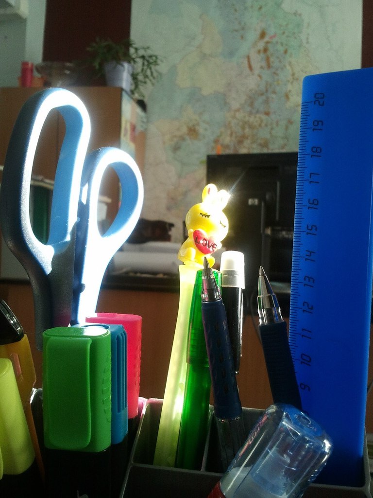 Анастасия Панова | Тюмень