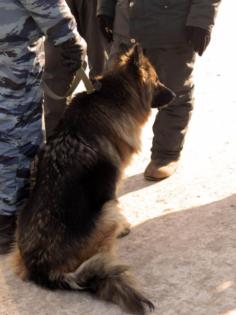 Зарина Юсупова | Уфа