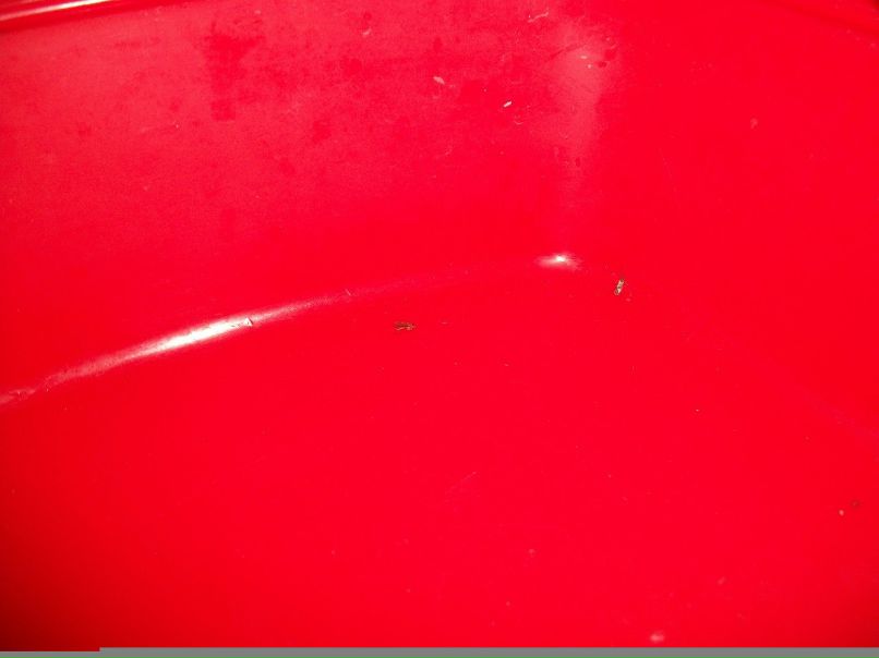 Марина Корнакова | Санкт-Петербург