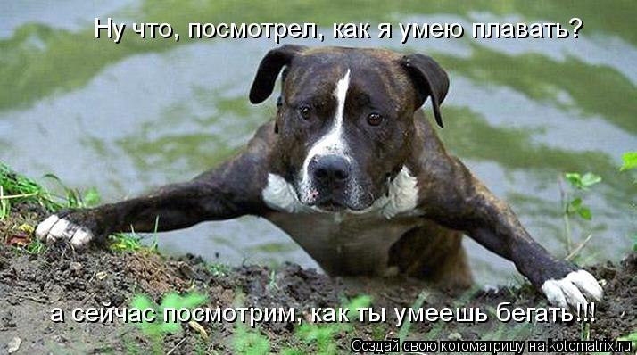 Сергей Говоруха Сварог | Харьков