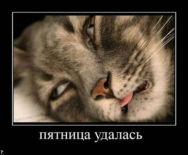 №39, Надюша Чезганова, 39 лет, Армянск №39, Надюша Чезганова, 39 лет, Армянск